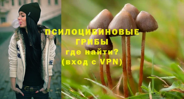 кокс Арсеньев