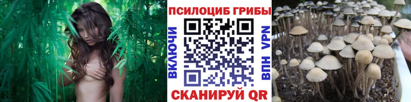 Галлюциногенные грибы Cubensis  Советск 